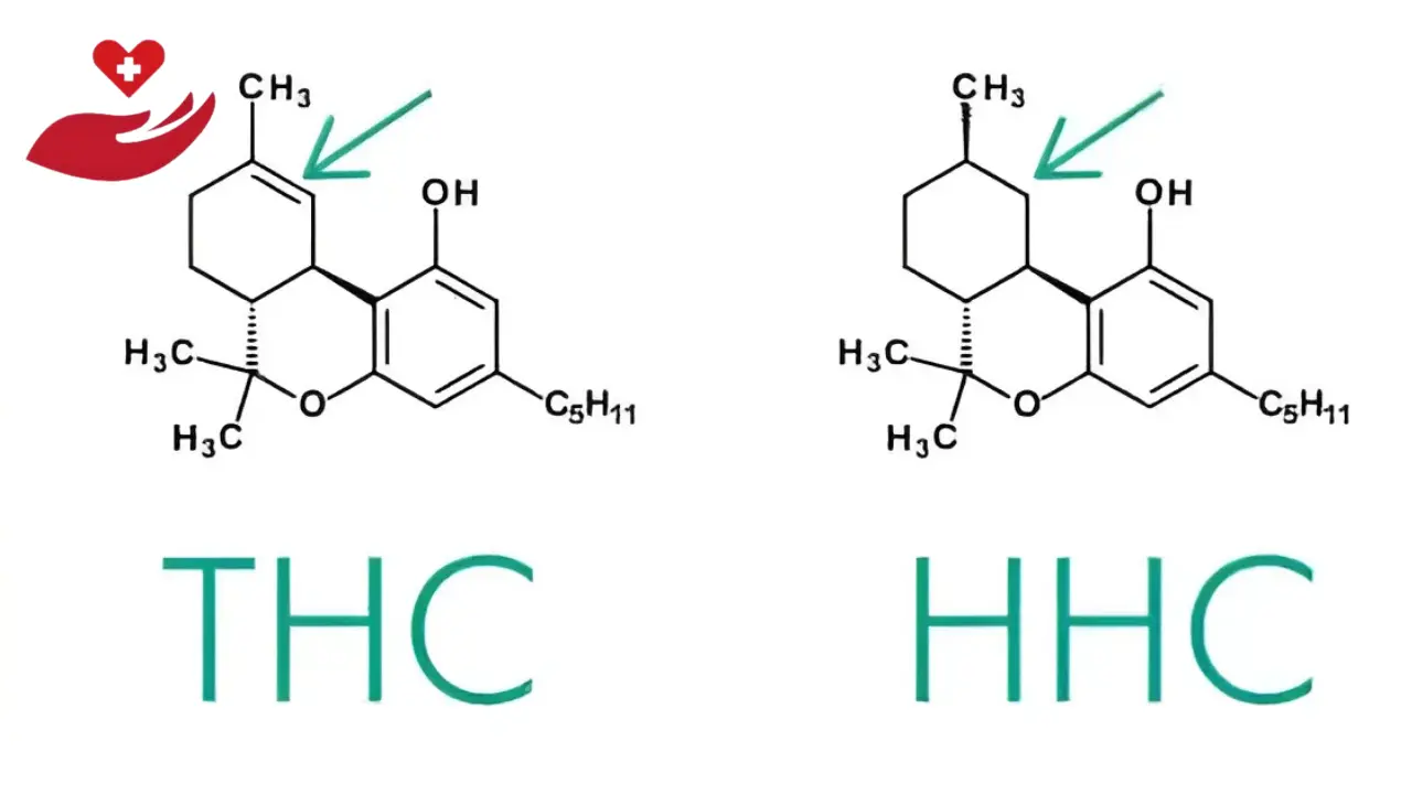 HHC vs THC