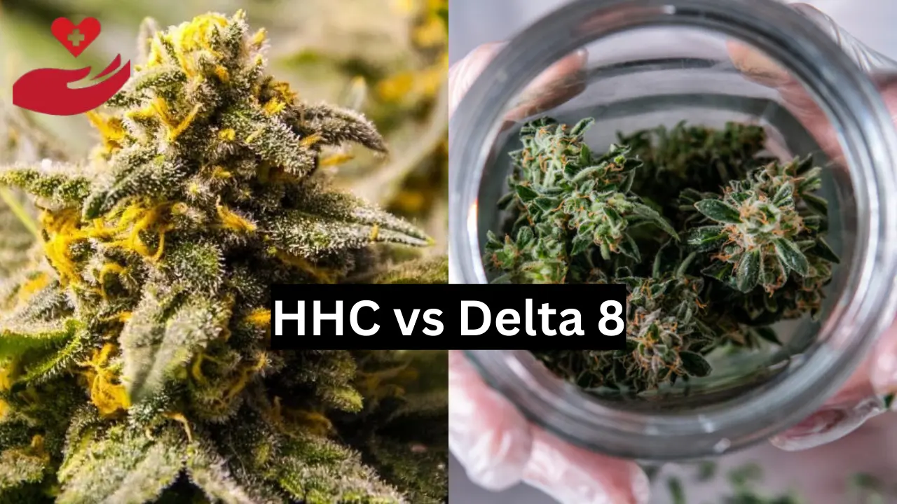 HHC vs Delta 8